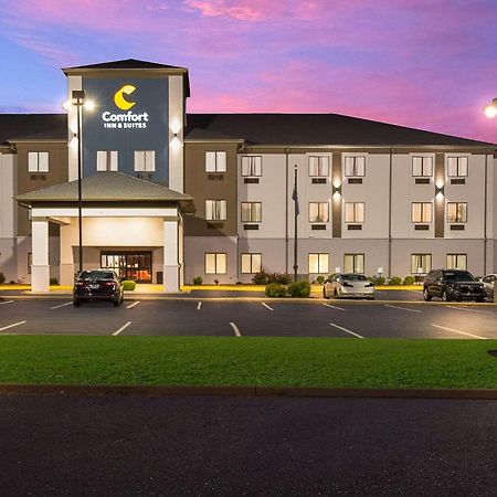 Comfort Inn & Suites Cave City Dış mekan fotoğraf